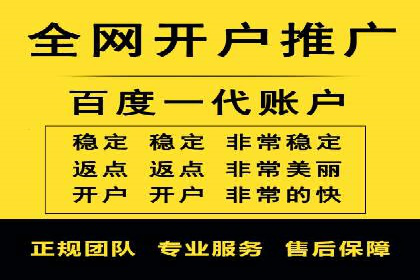 推广竞价策略优化：借鉴成功案例实现精准营销